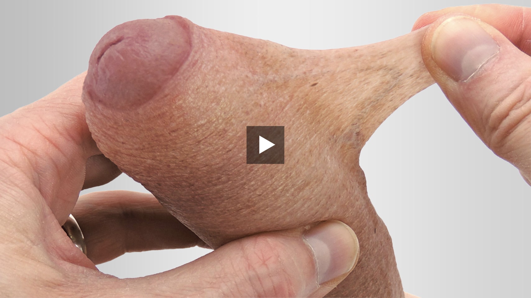 reelmagik moveable testicles video